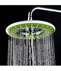 Logger Brass 12 Inch Shower, Green