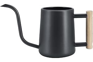 DingGreat Stainless Steel 1L Watering Can, Long Spout & Wooden Handle, Indoor Plant Care for Office and Home, Bonsai & Houseplants