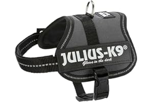 JULIUS K-9 Julius-K9 szelki dla psa, 2XS / Baby 2, antracytowy