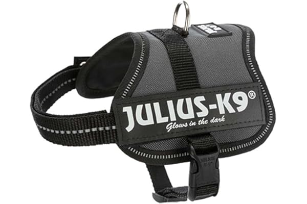Julius-K9 Arnés K9 Power, Antracita, 2XS/Baby 2