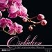 Orchideen Bildkalender 2014 by 