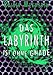 Das Labyrinth ist ohne Gnade (Labyrinth-Trilogie 3) by 