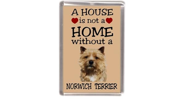 Collectables Norfolk Terrier Dog Fridge Magnet A House Is Not A Home By Starprint Norfolk Norwich Terrier Utit Vn