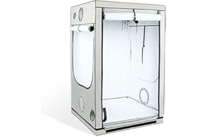 EASTSIDE IMPEX Homebox Ambient R120 (Maße: 120x90x180cm)