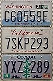 Motive: Berge , Baum 3 USA Nummernschilder als SET mit den Kennzeichen der US-Staaten an der Westküste : CALIFORNIA + OREGON + WASHINGTON / Blechschilder / KFZ Schilder / License Plates Lot