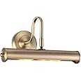 THLC Traditional 12'' Picture Light in Antique Brass Finish - LED Compatible