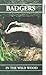 Produktbild Badgers - in the Wild Wood [VHS]