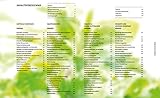 Image de vegan schnell: genial einfach - einfach genial, Vegan Kochbuch für Anfänger, Faule und schnelle Genießer
