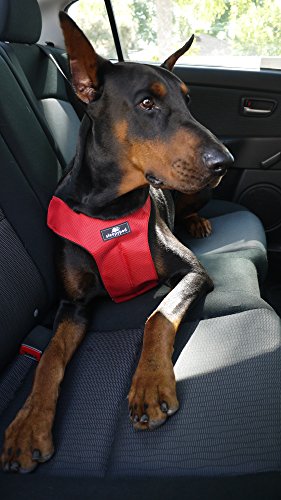 Sleepypod ClickIt Sport Crash-Tested Car Safety Dog Harness by Clickit Sport Harness
