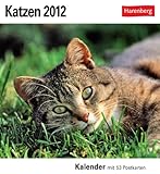 Katzen 2012: 53 Postkarten by 