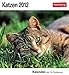 Katzen 2012: 53 Postkarten by 