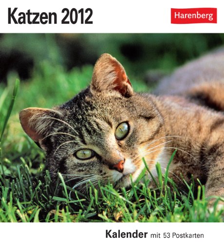 Katzen 2012: 53 Postkarten