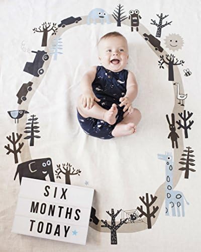 Baby milestone blanket boy, baby monthly blanket, baby photography, baby milestone blanket boy, baby monthly photo, newborn photo prop