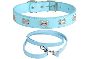 NEUSOP Collare Cane in Pelle Regolabile Guinzaglio per Cani, Collare per Cani, Collari per Cani Gatti Cucciolo Collare per Animali Domestici S