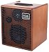 Produktbild 'Acus Sound One FORSTRINGS 5 Verstärker für Akustikgitarre biamplificato 5 + Hochtöner 50 Watt 1 Input Line + Mikrofon