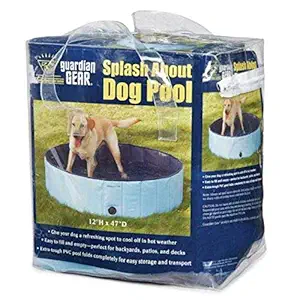 Cool Pup Splash About Dog Pool in Blue, Portable