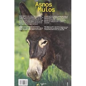 Asnos y mulos