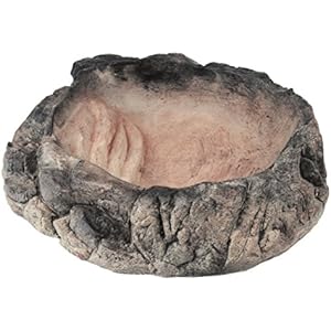 Acuami Reptilien Napf in Steinop Acuami Reptilien Napf in Steinop