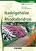 Produktbild Nadelgehöze und Rhododendron: BdB-Handbuch II