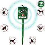 Achort Répulsif Chat Ultrason Solaire, Rechargeables USB/Solaire Répulsif Chat pour Animaux Domestiques, Chiens, Chats
