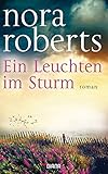Image de Ein Leuchten im Sturm: Roman