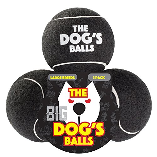Preisvergleich Produktbild Der Hund 's Ball