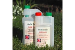Peter Beales Uncle Tom's rose tonic 1 Litre. Looking for a natural way to promote strong, healthy growth in your roses? Look no further than Uncle Tom's Rose Tonic!