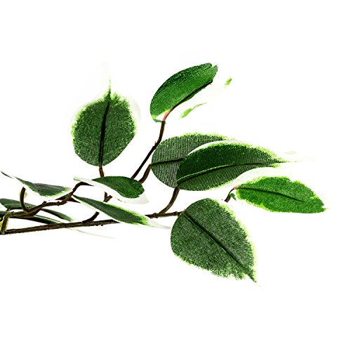 Großer grüner Ficus Baum, Echtholzstamm, Kunstbaum, Kunstpflanze, Dekobaum – Variante: 160 oder 190 cm - 4