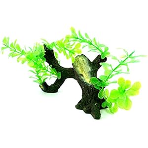 Aquarium-Wurzel-Terrarium-Wurzel-Dekoration-mit Pflanzenbesatz Pfw92