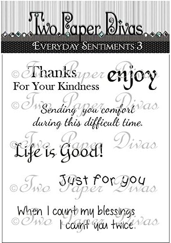 Two Paper Divas Two Paper Divas Clear Stamps 7-inch x 4.5-inch Everyday Sentiments 3, Acrylic, Multicolour