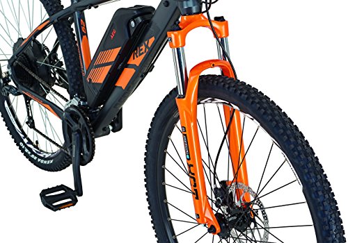 REX E-Bike Alu-MTB Twentyniner 29″ BERGSTEIGER 7.8 - 3