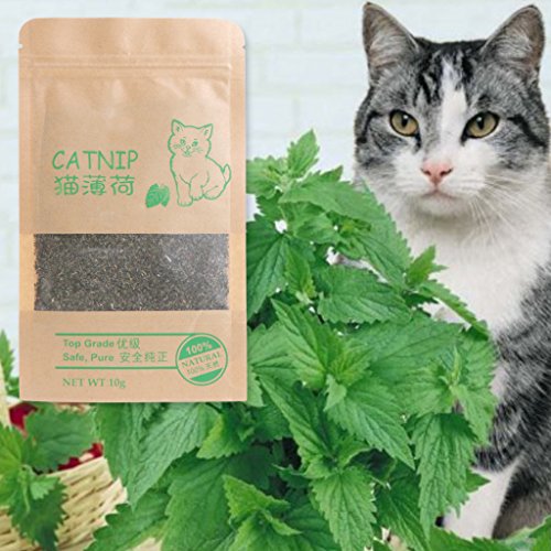 Preisvergleich Produktbild ECMQS Natur Premium Katzenminze Cattle Gras 10g Menthol Geschmack Lustige Katze Spielzeug