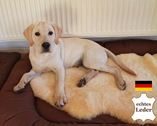 **NEU** Super-großes Lammfell LANABEST 3XL 110+. Super großes, medizinisches Merino Lammfell in Premium-Qualität. Schadstoffarm Öko-Tex 100. In Deutschland hergestellt. Dichtes Fell, weich, geruchsarm, 30 Grad waschbar. Ideal als Bettfell. Größe 110-120 cm - 4