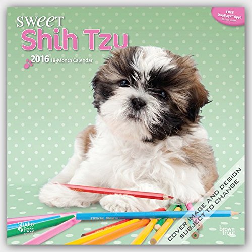 Sweet Shitzu 2016 - Shih Tzu - 18-Monatskalender mit freier DogDays-App: Original Myrna-Kalender [Mehrsprachig] [Kalender]