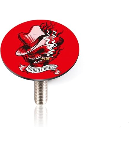 The Lord Of The Tools Capuchon Supérieur Fibre De Carbone 31,8 Mm – Vis M6x35 Incluse, Pour Tube De Direction VTT/Route