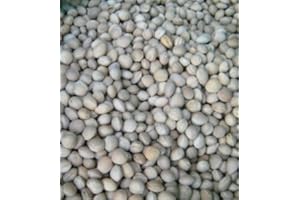 BROW FARM LTD. A GROWING COMPANY Brow Farm Cherry Stones 5kg