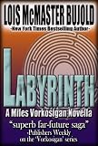 Cover zum Buch Labyrinth