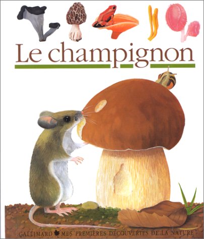 <a href="/node/28568">Le champignon</a>