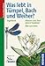 Produktbild Was lebt in Tümpel, Bach und Weiher: Pflanzen und Tiere unserer Gewässer