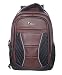 F Gear President Brown 30 liter Laptop Backpack RS.1290.00