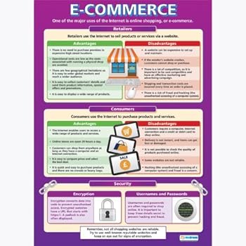 Health and Safety |ICT Educational Wall Chart/Poster in ...