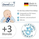 Dentistar® Beißring Set für Babys ab 3 Monate – Stern – Zahnungshilfe Baby aus TPE, Kühlbeißring reicht bis an die Backenzähne, Made in Germany - 4