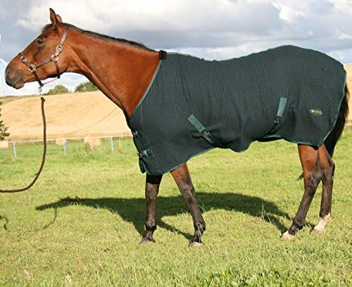 Waffle Weave Navy & Green Cooler Rug (5'9)