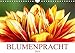 Produktbild Blumenpracht (Wandkalender 2019 DIN A4 quer): Fotografien von farbenfrohen Blumen und Blüten (Monatskalender, 14 Seiten ) (CALVENDO Natur)