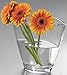 Produktbild Nachtmann Carre Vase 19 cm