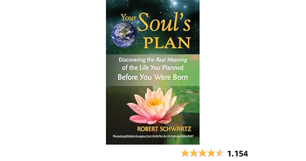 Your Soul S Plan Discovering The Real Meaning Of The Life You Planned Before You Were Born Amazon De Schwartz Robert Fremdsprachige Bucher