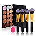 Chinatera 15 Colours Face Makeup Concealer Contour Camouflage Palette+4Pcs Cosmetic Blusher Foundation Powder Kabuki Brushes + Pink Sponge Puff