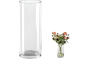 QEEYON Vaso cilindrico in vetro, alto 30 cm, extra large, vaso per fiori in cristallo ispessito, per composizioni floreali per soggiorno, cucina, ufficio, matrimoni (30 x 12 cm)