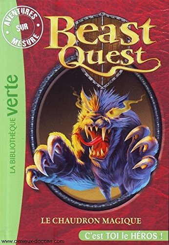 couverture de : Le chaudron magique