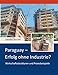 Paraguay - Erfolg ohne Industrie?: Wirtschaftsstrukturen und Praxisbeispiele by 